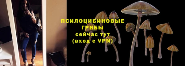 хмурый Армянск